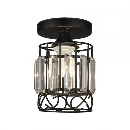 Потолочный светильник Seven Fires Beteni WD3567/1C-BK-CL