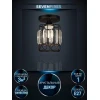 Потолочный светильник Seven Fires Beteni WD3567/1C-BK-CL Потолочный светильник Seven Fires Beteni WD3567/1C-BK-CL