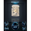 Потолочный светильник Seven Fires Denes WD3568/1C-WG-CL Потолочный светильник Seven Fires Denes WD3568/1C-WG-CL