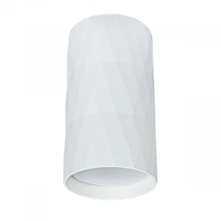 Потолочный светильник Arte Lamp Fang A5557PL-1WH