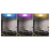 Потолочный светодиодный светильник Yeelight Arwen Ceiling Light 550C YLXD013-C