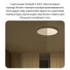 Потолочный светодиодный светильник Yeelight Ceiling Light C2001C550 -550мм YLXD037