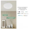 Потолочный светодиодный светильник Yeelight Ceiling Light A2001C550 YLXD031