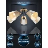 Потолочная люстра Seven Fires Vilmos WD3583/5C-BK-BG Потолочная люстра Seven Fires Vilmos WD3583/5C-BK-BG