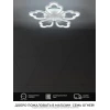 Потолочная светодиодная люстра Seven Fires Ferenk SF5028/5C-WT-RGB