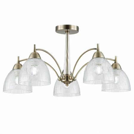 Потолочная люстра Evoluce Nuele SLE104402-05