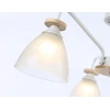 Потолочная люстра Ambrella light Traditional Modern TR9562