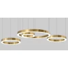 Подвесной светодиодный светильник Imperium Loft Light Ring Horizontal 177931-22