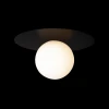 Потолочный светильник Loft IT Ufo 10120/250C Black