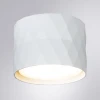 Потолочный светильник Arte Lamp Fang A5552PL-1WH