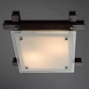 Потолочный светильник Arte Lamp 94 A6462PL-2CK