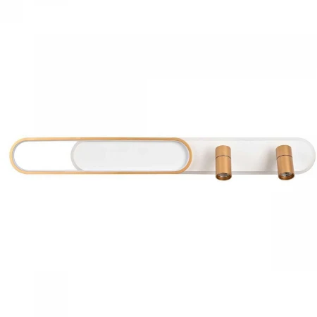 Потолочная светодиодная люстра Favourite Planar 4075-2C