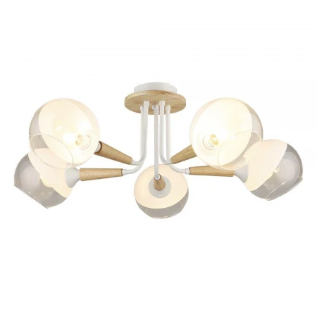 Потолочная люстра Seven Fires Ignas 66767.01.09.05