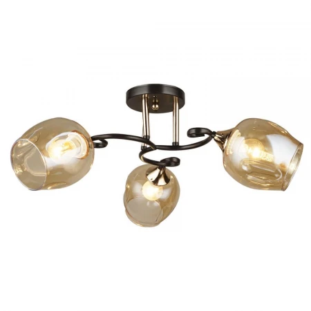 Потолочная люстра Seven Fires Сарнано 66370.01.69.03