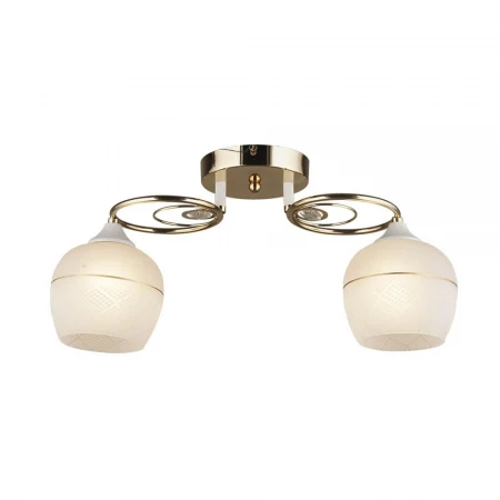 Потолочная люстра Seven Fires Idro 66203.01.10.02