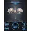 Подвесная люстра Seven Fires Aprim WD3586/5H-CF-FGD-BK Подвесная люстра Seven Fires Aprim WD3586/5H-CF-FGD-BK
