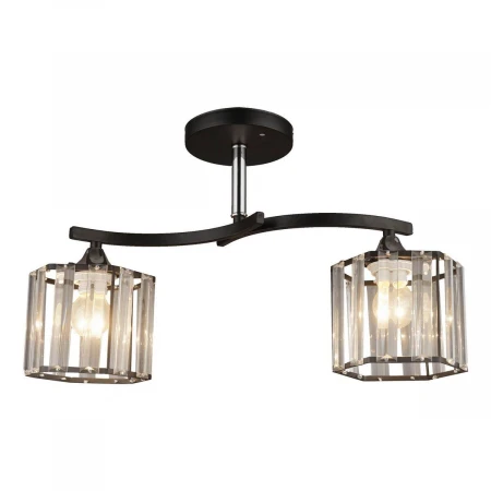 Потолочная люстра Milosh Tendence 0726CL-2BK