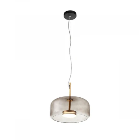 Подвесной светодиодный светильник ST Luce Palochino SL1053.243.01