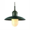 Подвесной светильник Arte Lamp Passato A9255SP-1BG Подвесной светильник Arte Lamp Passato A9255SP-1BG