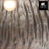 Подвесной светильник Arte Lamp Dome A8149SP-3SI Подвесной светильник Arte Lamp Dome A8149SP-3SI