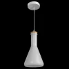Подвесной светильник Arte Lamp 22 A8114SP-1WH Подвесной светильник Arte Lamp 22 A8114SP-1WH