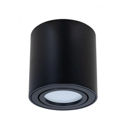 Потолочный светильник Arte Lamp Beid A1513PL-1BK