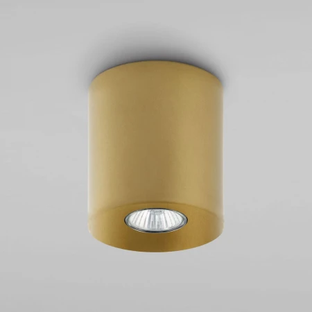 Потолочный светильник TK Lighting 3198 Orion Gold