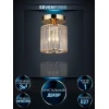 Потолочный светильник Seven Fires Lorink WD3520/1C-FGD-CL