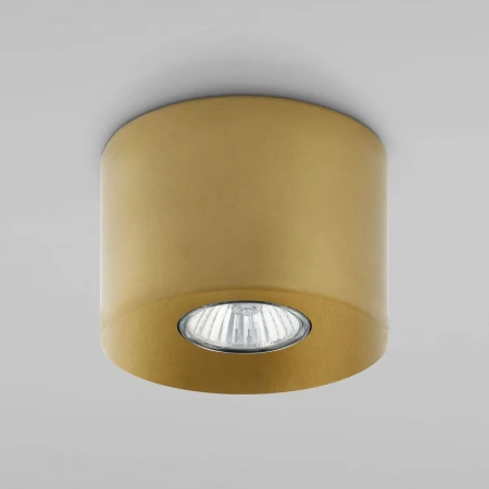 Потолочный светильник TK Lighting 3199 Orion Gold