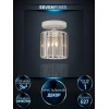 Потолочный светильник Seven Fires Lorink WD3520/1C-WT-CL