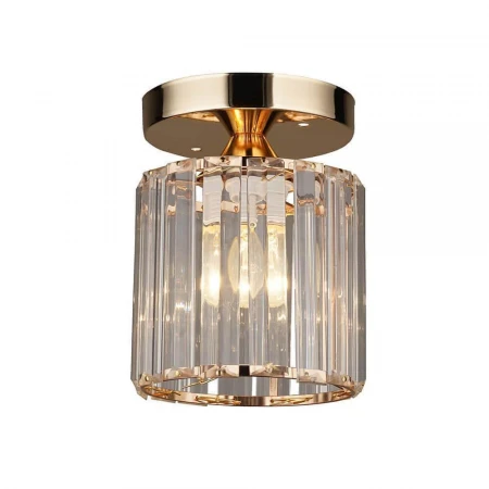 Потолочный светильник Seven Fires Нетта 66116.01.01.01