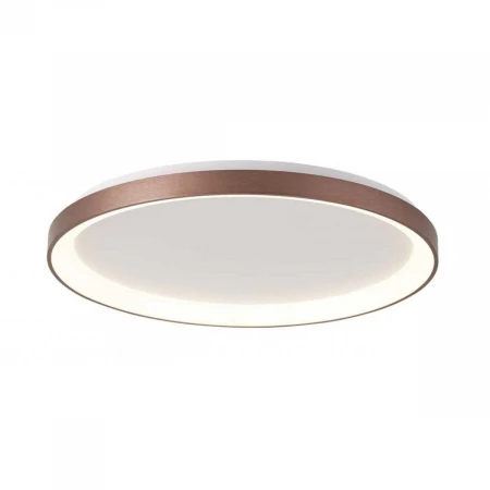 Потолочный светодиодный светильник Deko-Light Merope 348189