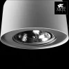 Потолочный светильник Arte Lamp Cliff A5643PL-1WH Потолочный светильник Arte Lamp Cliff A5643PL-1WH