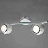 Спот Arte Lamp 101 A6251PL-2WH Спот Arte Lamp 101 A6251PL-2WH