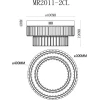Потолочный светодиодный светильник MyFar Irina MR2011-2CL