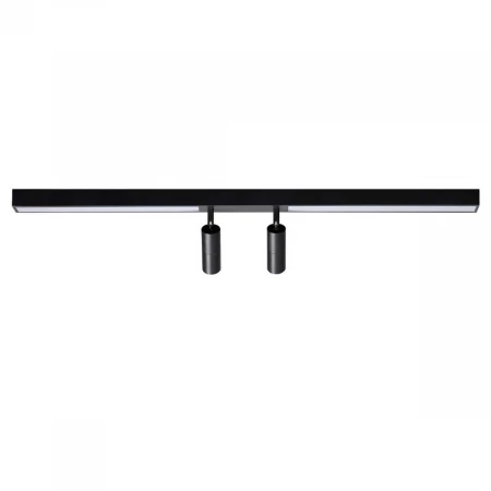 Потолочный светильник Lumion HAWK 5690/14CL