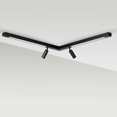 Потолочный светильник Lumion HAWK 5690/19CL