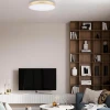 Потолочный светодиодный светильник Loft IT Flims 10228/B Потолочный светодиодный светильник Loft IT Flims 10228/B
