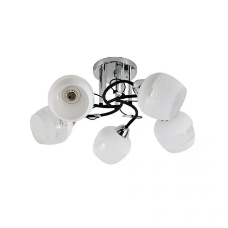 Потолочная люстра ЭкономСвет 12270/5CR+BK WT+CL