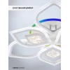 Потолочная светодиодная люстра Seven Fires Dzhena SF5050/10C-WT-RGB Потолочная светодиодная люстра Seven Fires Dzhena SF5050/10C-WT-RGB