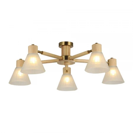 Потолочная люстра Arte Lamp Meleph A4096PL-5BR