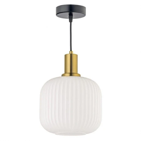 Подвесной светильник Arti Lampadari Delebio E 1.P1 W