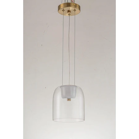Подвесной светодиодный светильник Arti Lampadari Narbolia L 1.P6 CL