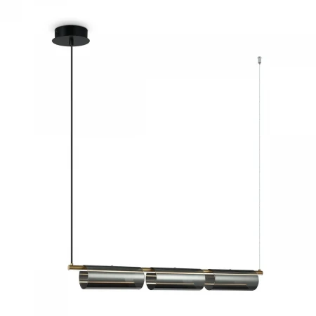 Подвесной светодиодный светильник Freya Stick FR5395PL-L12B