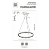 Подвесная светодиодная люстра Lightstar Rotonda 736181 Подвесная светодиодная люстра Lightstar Rotonda 736181