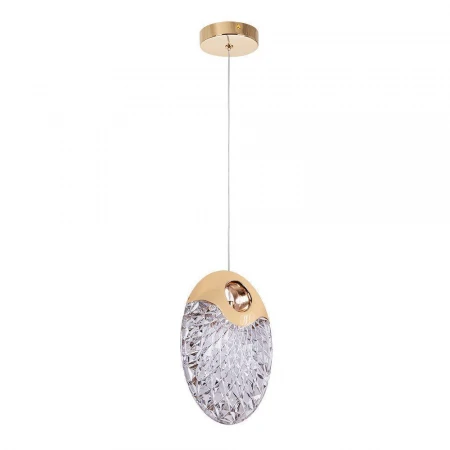 Подвесной светодиодный светильник Arte Lamp Vitoria A2095SP-1GO