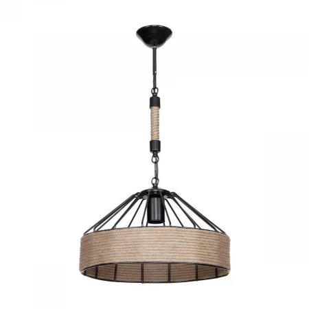 Подвесной светильник Toplight Bathsheba TL1642H-01BK