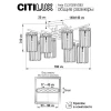 Потолочная люстра Citilux Axis CL313281 Потолочная люстра Citilux Axis CL313281
