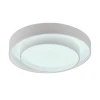 Потолочный светодиодный светильник MyFar Ceiling Rhea MR9160-CL Потолочный светодиодный светильник MyFar Ceiling Rhea MR9160-CL