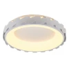 Потолочный светодиодный светильник MyFar Ceiling Leda MR9220-CL